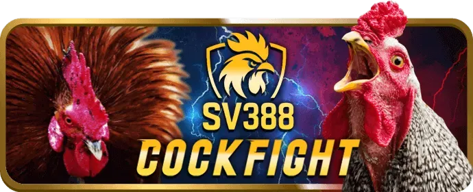 Tổ chức hỗ trợ cờ bạc